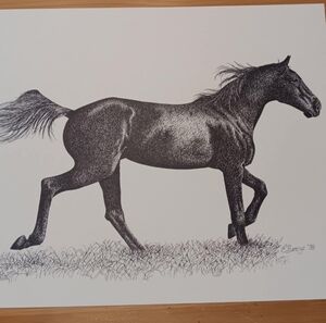Horse Running print in black ink by Edie Bencze